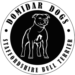 Logo DOMIDAR DOGS Kennel