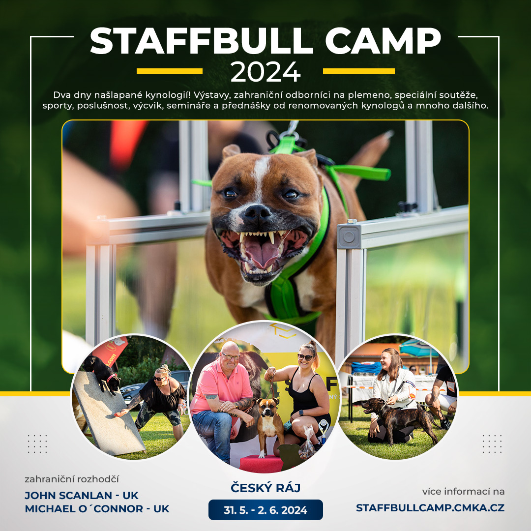 STAFFBULL CAMP 2024
